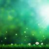 Download-Green-Background-Flowers-Wallpaper-Dekstop 907Vvde